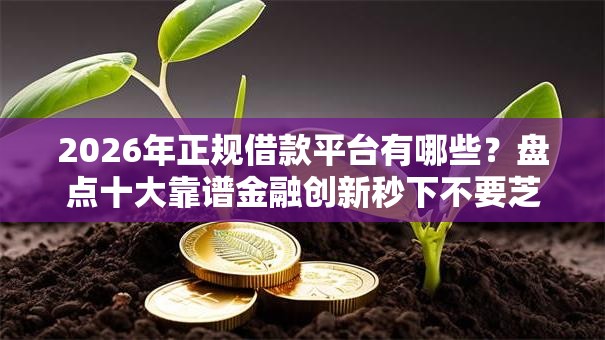 2026年正规借款平台有哪些?盘点十大靠谱金融创新秒下不要芝麻分的平台 2026年正规借款平台有哪些?盘点十大靠谱金融创新秒下不要芝麻分的平台