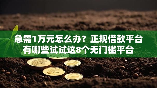 急需1万元怎么办?正规借款平台有哪些试试这8个无门槛平台 急需1万元怎么办?正规借款平台有哪些试试这8个无门槛平台