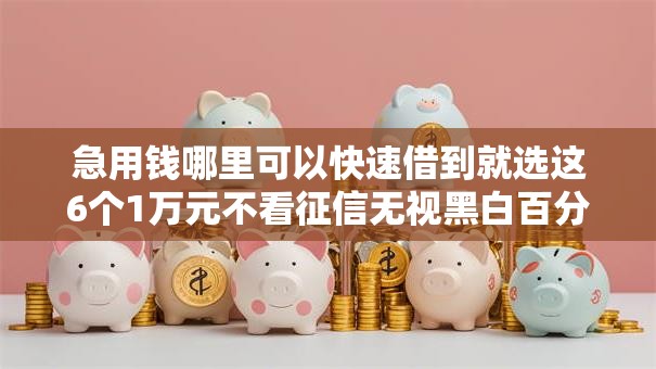 急用钱哪里可以快速借到就选这6个1万元不看征信无视黑白百分百下款软件