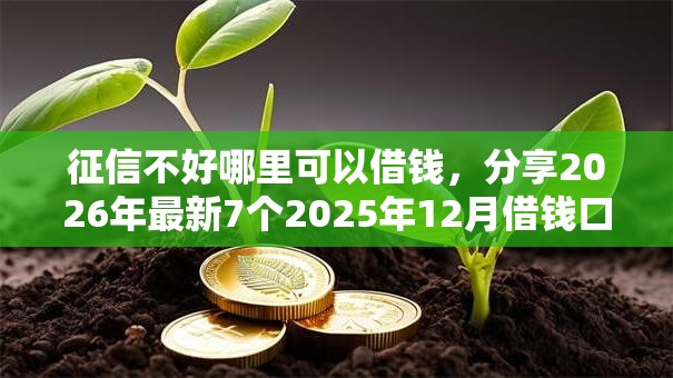 征信不好哪里可以借钱,分享2026年最新7个2025年12月借钱口子 征信不好哪里可以借钱,分享2026年最新7个2025年12月借钱口子