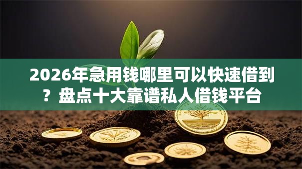 2026年急用钱哪里可以快速借到？盘点十大靠谱私人借钱平台