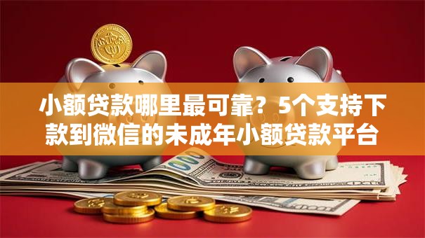 小额贷款哪里最可靠？5个支持下款到微信的未成年小额贷款平台