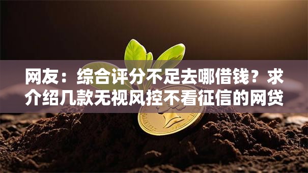 网友:综合评分不足去哪借钱?求介绍几款无视风控不看征信的网贷 网友:综合评分不足去哪借钱?求介绍几款无视风控不看征信的网贷