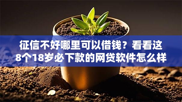 征信不好哪里可以借钱？看看这8个18岁必下款的网贷软件怎么样