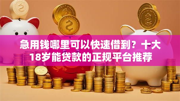 急用钱哪里可以快速借到？十大18岁能贷款的正规平台推荐