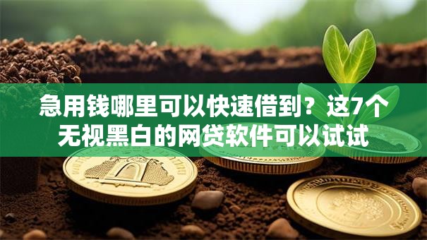 急用钱哪里可以快速借到？这7个无视黑白的网贷软件可以试试
