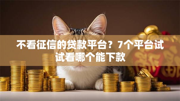 不看征信的贷款平台?7个平台试试看哪个能下款 不看征信的贷款平台?7个平台试试看哪个能下款