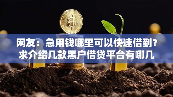 网友：急用钱哪里可以快速借到？求介绍几款黑户借贷平台有哪几家