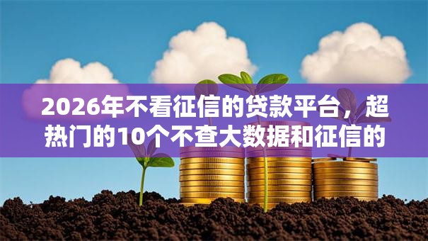 2026年不看征信的贷款平台,超热门的10个不查大数据和征信的贷款平台推荐 2026年不看征信的贷款平台,超热门的10个不查大数据和征信的贷款平台推荐