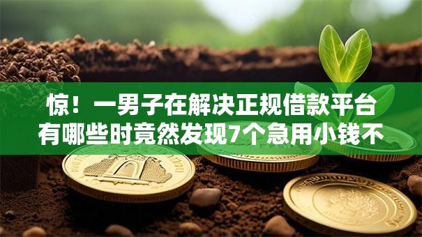 惊!一男子在解决正规借款平台有哪些时竟然发现7个急用小钱不求征信流水轻松贷的口子,事后分享了出来 惊!一男子在解决正规借款平台有哪些时竟然发现7个急用小钱不求征信流水轻松贷的口子,事后分享了出来