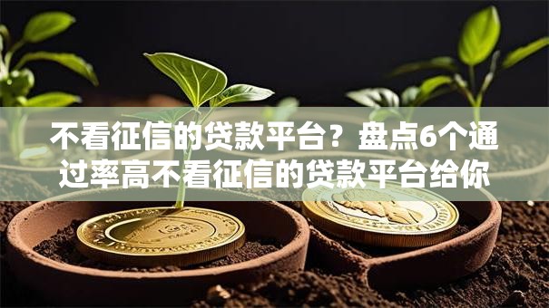 不看征信的贷款平台？盘点6个通过率高不看征信的贷款平台给你参考