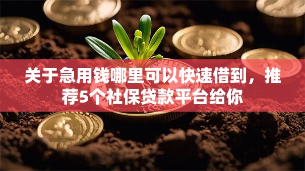关于急用钱哪里可以快速借到,推荐5个社保贷款平台给你 关于急用钱哪里可以快速借到,推荐5个社保贷款平台给你