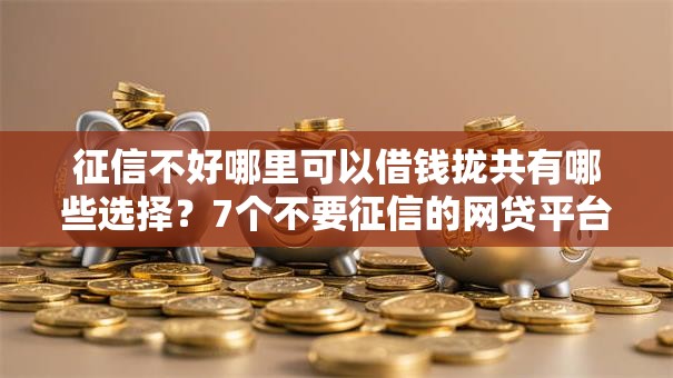 征信不好哪里可以借钱拢共有哪些选择？7个不要征信的网贷平台详解