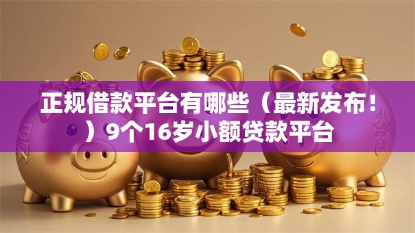 正规借款平台有哪些（最新发布！）9个16岁小额贷款平台
