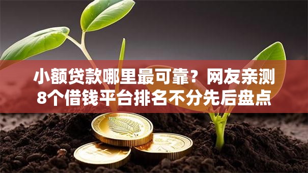 小额贷款哪里最可靠？网友亲测8个借钱平台排名不分先后盘点