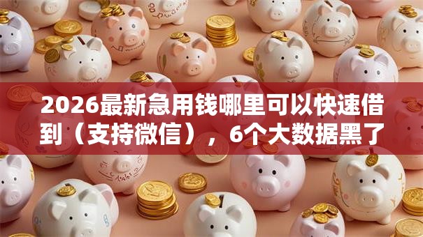 2026最新急用钱哪里可以快速借到（支持微信），6个大数据黑了能借款的平台无私分享
