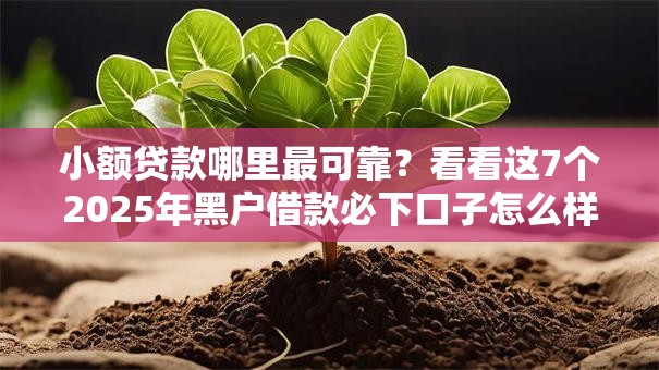 小额贷款哪里最可靠?看看这7个2025年黑户借款必下口子怎么样 小额贷款哪里最可靠?看看这7个2025年黑户借款必下口子怎么样