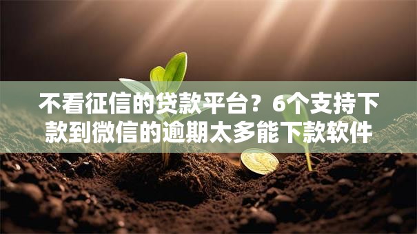 不看征信的贷款平台？6个支持下款到微信的逾期太多能下款软件