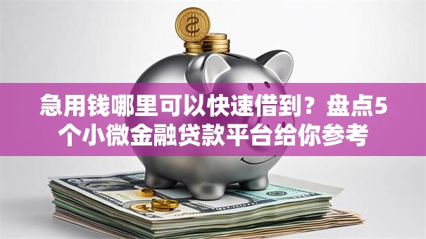 急用钱哪里可以快速借到？盘点5个小微金融贷款平台给你参考