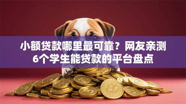 小额贷款哪里最可靠？网友亲测6个学生能贷款的平台盘点