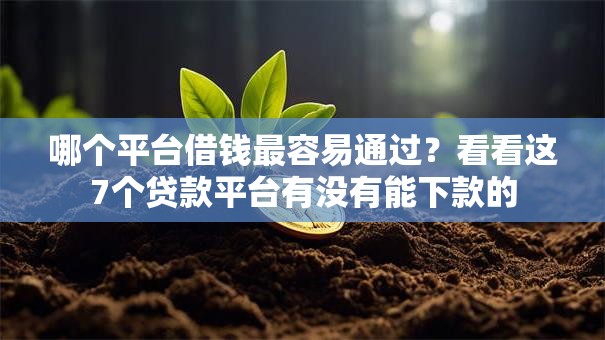 哪个平台借钱最容易通过?看看这7个贷款平台有没有能下款的 哪个平台借钱最容易通过?看看这7个贷款平台有没有能下款的
