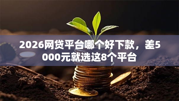 2026网贷平台哪个好下款,差5000元就选这8个平台 2026网贷平台哪个好下款,差5000元就选这8个平台