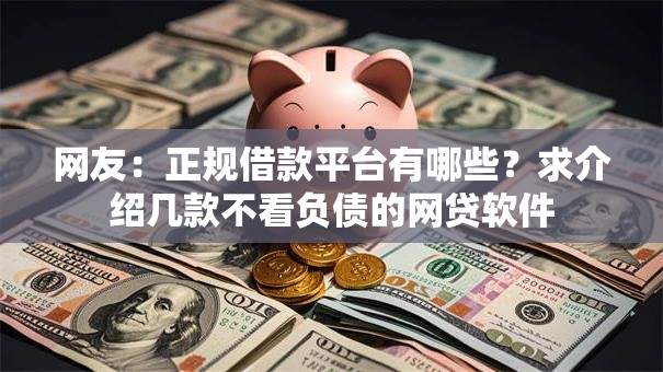 网友：正规借款平台有哪些？求介绍几款不看负债的网贷软件