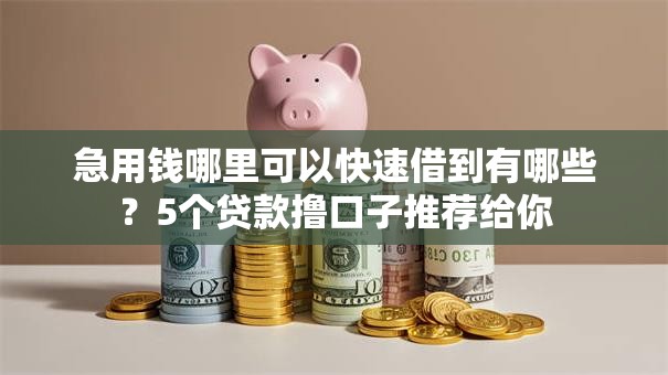 急用钱哪里可以快速借到有哪些？5个贷款撸口子推荐给你