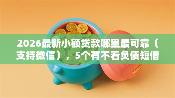 2026最新小额贷款哪里最可靠（支持微信），5个有不看负债短借的平台无私分享