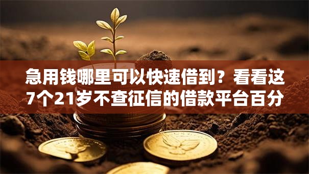 急用钱哪里可以快速借到？看看这7个21岁不查征信的借款平台百分百通过怎么样
