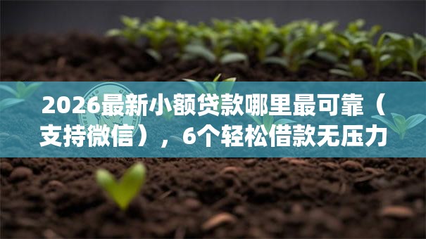 2026最新小额贷款哪里最可靠(支持微信),6个轻松借款无压力app无私分享 2026最新小额贷款哪里最可靠(支持微信),6个轻松借款无压力app无私分享