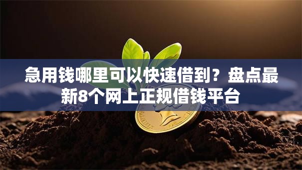 急用钱哪里可以快速借到?盘点最新8个网上正规借钱平台 急用钱哪里可以快速借到?盘点最新8个网上正规借钱平台