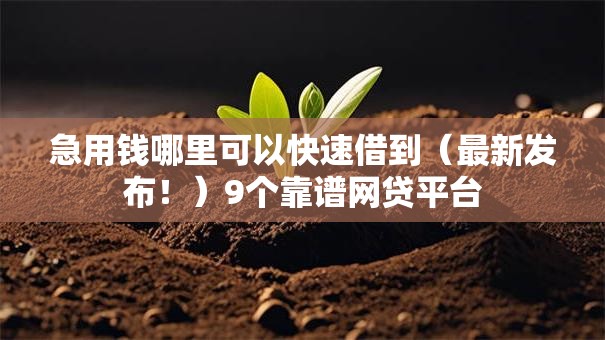急用钱哪里可以快速借到（最新发布！）9个靠谱网贷平台