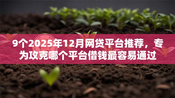 9个2025年12月网贷平台推荐,专为攻克哪个平台借钱最容易通过难题 9个2025年12月网贷平台推荐,专为攻克哪个平台借钱最容易通过难题