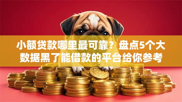 小额贷款哪里最可靠？盘点5个大数据黑了能借款的平台给你参考