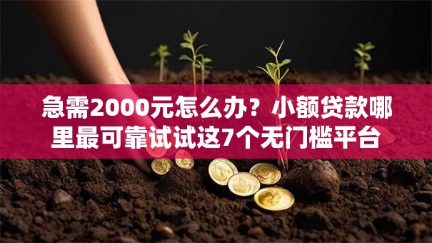 急需2000元怎么办?小额贷款哪里最可靠试试这7个无门槛平台 急需2000元怎么办?小额贷款哪里最可靠试试这7个无门槛平台