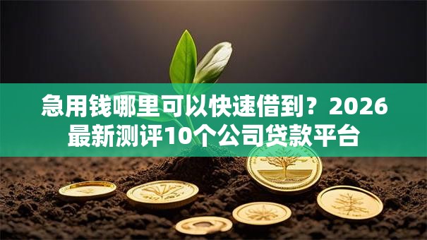 急用钱哪里可以快速借到?2026最新测评10个公司贷款平台 急用钱哪里可以快速借到?2026最新测评10个公司贷款平台