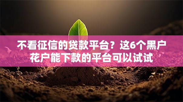不看征信的贷款平台?这6个黑户花户能下款的平台可以试试 不看征信的贷款平台?这6个黑户花户能下款的平台可以试试