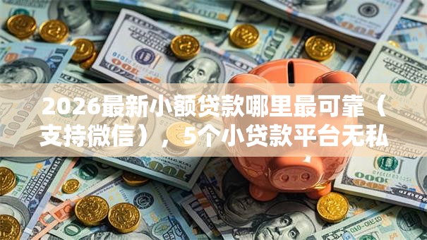 2026最新小额贷款哪里最可靠(支持微信),5个小贷款平台无私分享 2026最新小额贷款哪里最可靠(支持微信),5个小贷款平台无私分享