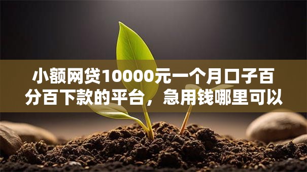 小额网贷10000元一个月口子百分百下款的平台,急用钱哪里可以快速借到的5个平台介绍 小额网贷10000元一个月口子百分百下款的平台,急用钱哪里可以快速借到的5个平台介绍