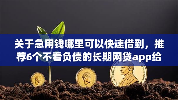 关于急用钱哪里可以快速借到,推荐6个不看负债的长期网贷app给你 关于急用钱哪里可以快速借到,推荐6个不看负债的长期网贷app给你