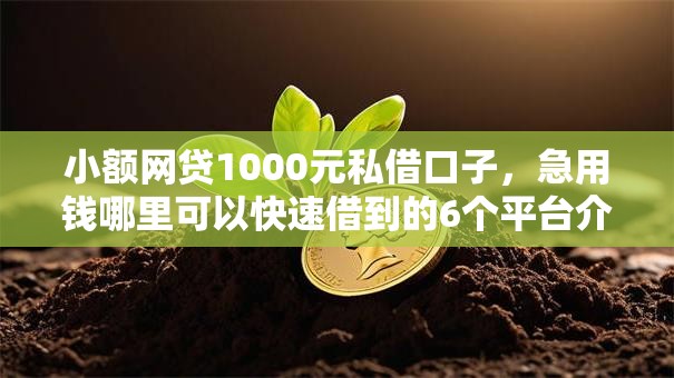 小额网贷1000元私借口子,急用钱哪里可以快速借到的6个平台介绍 小额网贷1000元私借口子,急用钱哪里可以快速借到的6个平台介绍