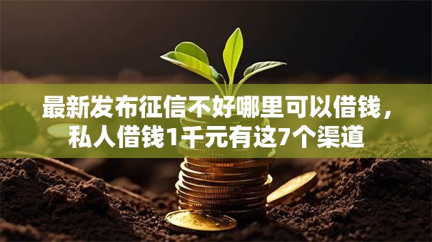 最新发布征信不好哪里可以借钱,私人借钱1千元有这7个渠道 最新发布征信不好哪里可以借钱,私人借钱1千元有这7个渠道