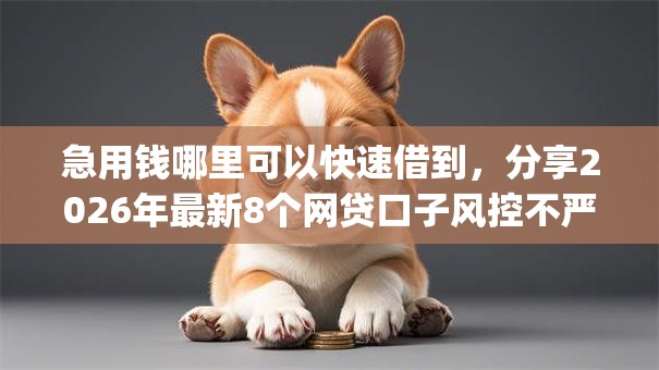 急用钱哪里可以快速借到,分享2026年最新8个网贷口子风控不严的app 急用钱哪里可以快速借到,分享2026年最新8个网贷口子风控不严的app