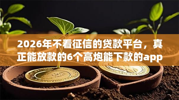 2026年不看征信的贷款平台,真正能放款的6个高炮能下款的app推荐 2026年不看征信的贷款平台,真正能放款的6个高炮能下款的app推荐