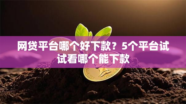 网贷平台哪个好下款?5个平台试试看哪个能下款 网贷平台哪个好下款?5个平台试试看哪个能下款