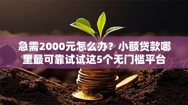 急需2000元怎么办?小额贷款哪里最可靠试试这5个无门槛平台 急需2000元怎么办?小额贷款哪里最可靠试试这5个无门槛平台