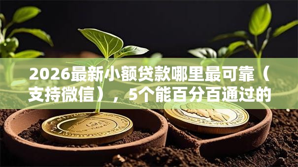 2026最新小额贷款哪里最可靠(支持微信),5个能百分百通过的网贷平台无私分享 2026最新小额贷款哪里最可靠(支持微信),5个能百分百通过的网贷平台无私分享