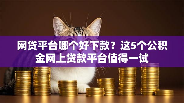 网贷平台哪个好下款?这5个公积金网上贷款平台值得一试 网贷平台哪个好下款?这5个公积金网上贷款平台值得一试