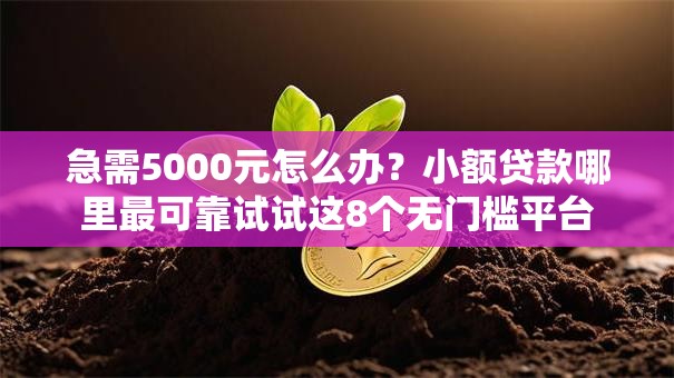 急需5000元怎么办?小额贷款哪里最可靠试试这8个无门槛平台 急需5000元怎么办?小额贷款哪里最可靠试试这8个无门槛平台